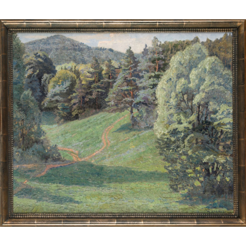 FOREST VIEW IN EARLY SUMMER